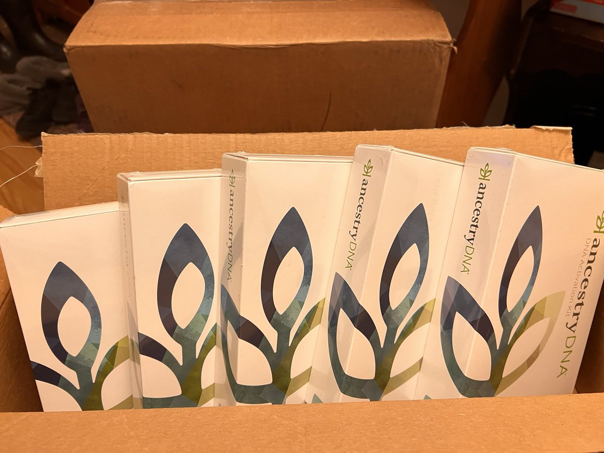 We wouldn’t want to start anything at Christmas now would we? 🤭#Christmas #ancestry #familyfun