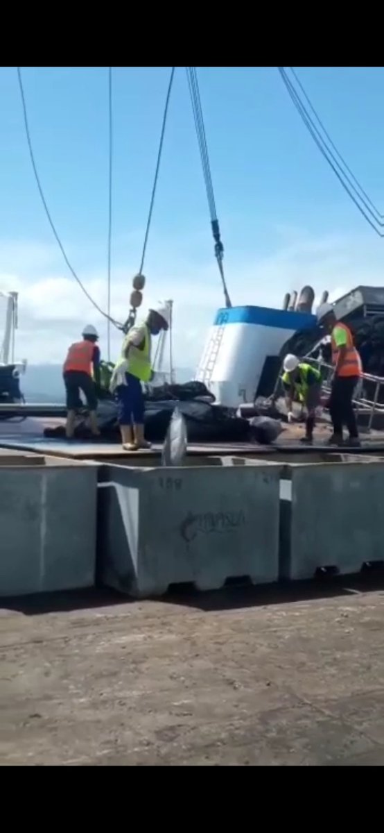 PescalbaOficial's tweet photo. Más de 100 toneladas de atún se descargaron en el muelle de #Pescalba, ente adscrito al @Minpescave2

El barco Ventuari, en maniobras bajo protocolos marítimos internacionales, descargó atún aleta amarilla y listado, destinado a distintos puntos de venta
#VenezuelaComePescado https://t.co/nBJrgpXVpN
