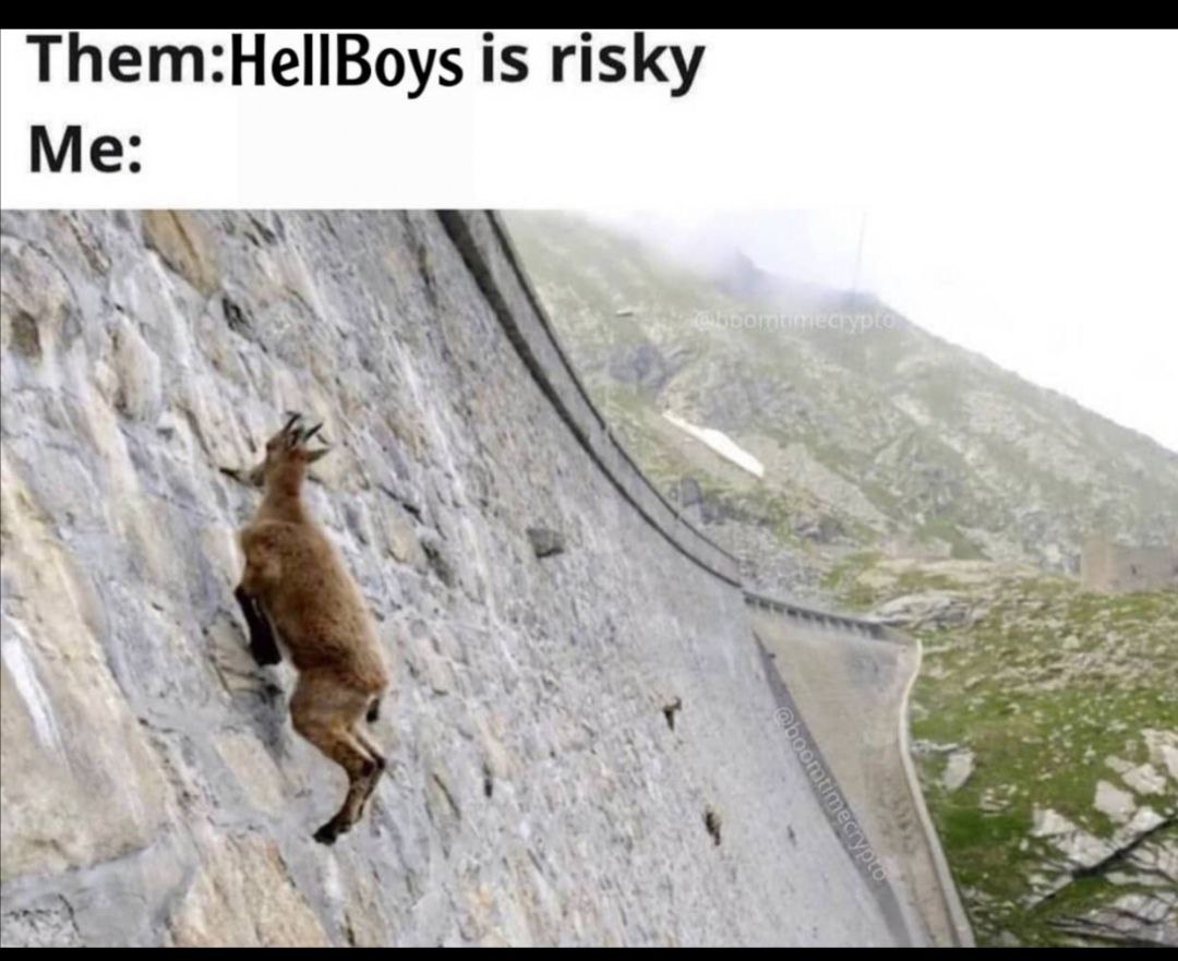 HellBoy_Token's tweet photo. The risk of becoming millionaires 💎💎

X400% so far 

Join our tg : https://t.co/iLdnQH1mru

#BSC #investing #hboy #hellboys #ALTSEASON  #funny #cryptotrading #HELLBOUND #BSCGems #hellboy https://t.co/RPEHr5cBAc