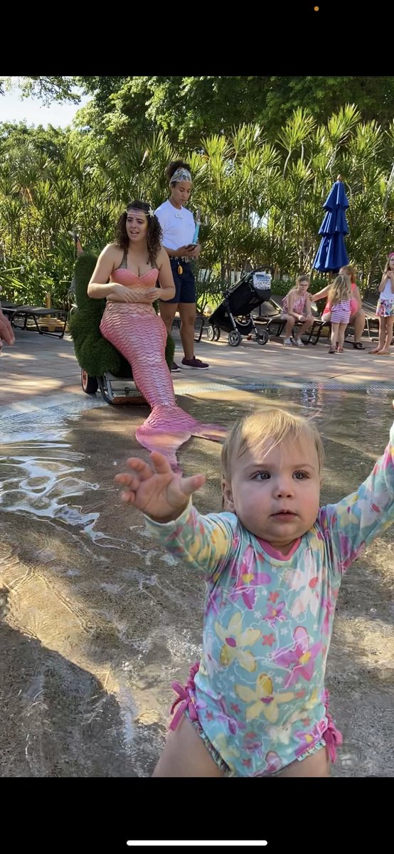 Mackenzie Hardie tweet media