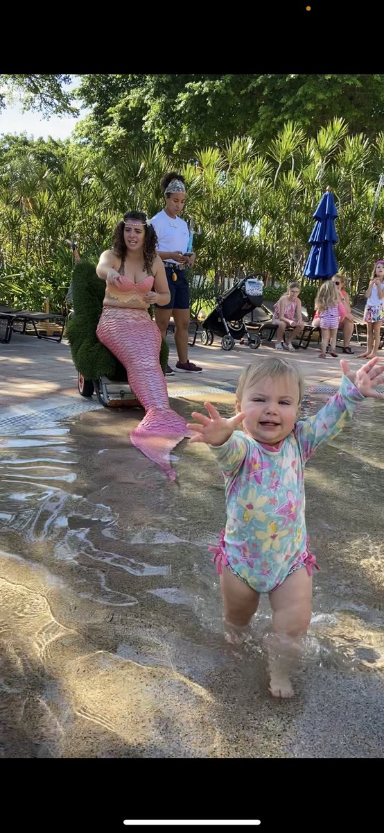 Mackenzie Hardie tweet media