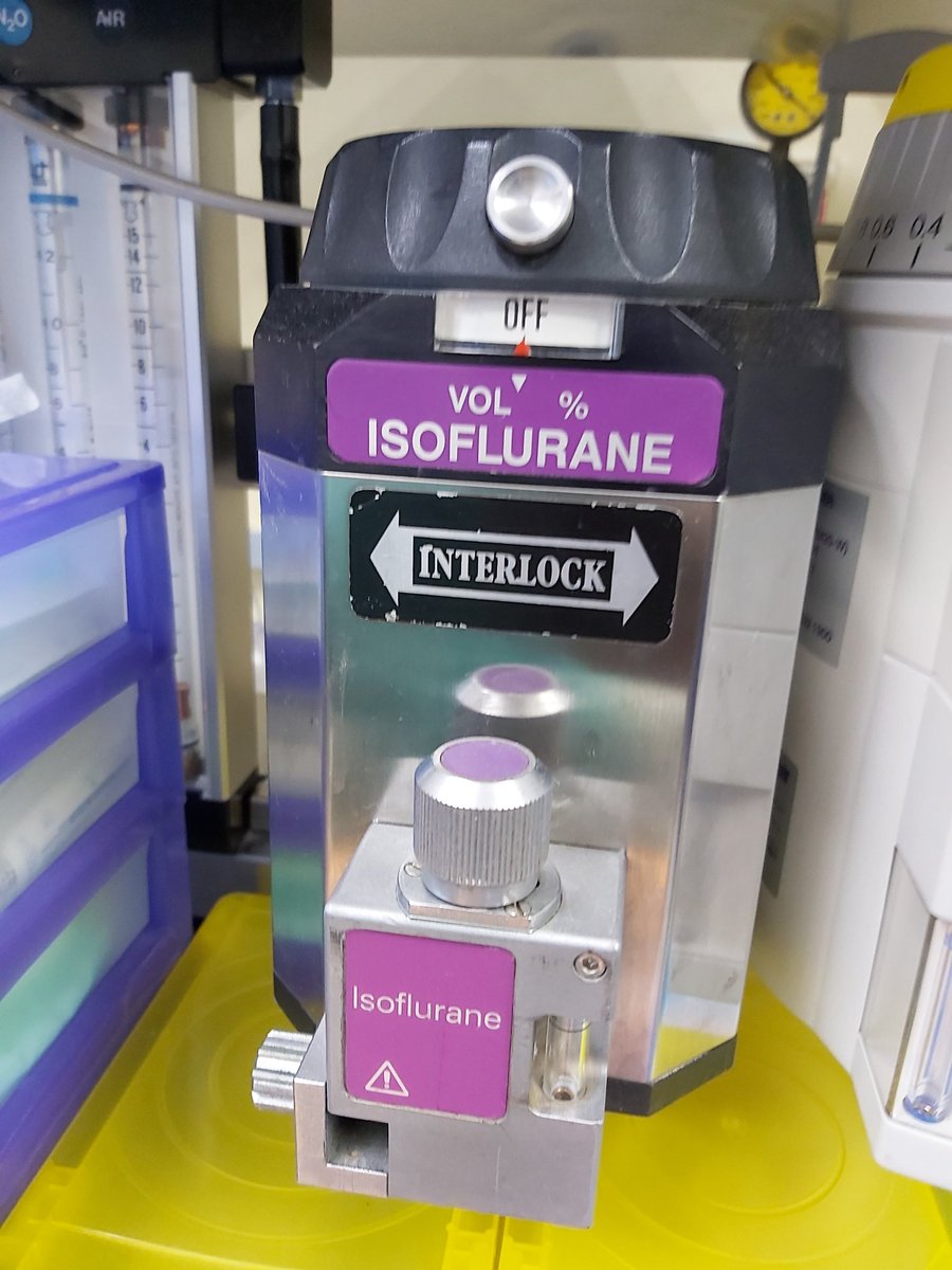 Theo_Alaistaire's tweet photo. Old vaporizer stuff in recovery area.
-halothane
-isoflurane
#anaesthesia
#anesthesia
#Medicine
#vaporizer
#halothane
#isoflurane https://t.co/Xc47FxVlnT