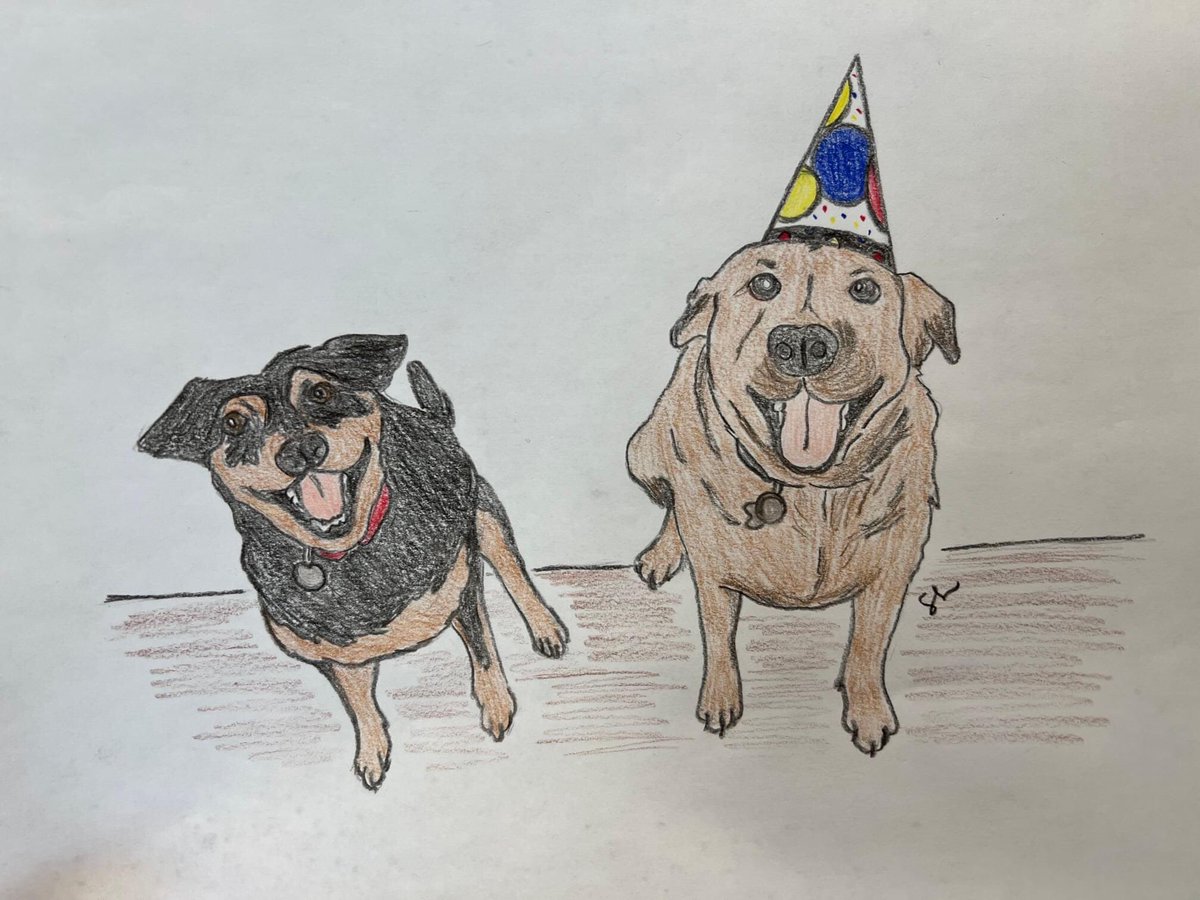 brunoward9's tweet photo. Please enjoy our mediocre pet portrait we got from donating to @SICSA 😁😁 https://t.co/Ul4WR9TBsX