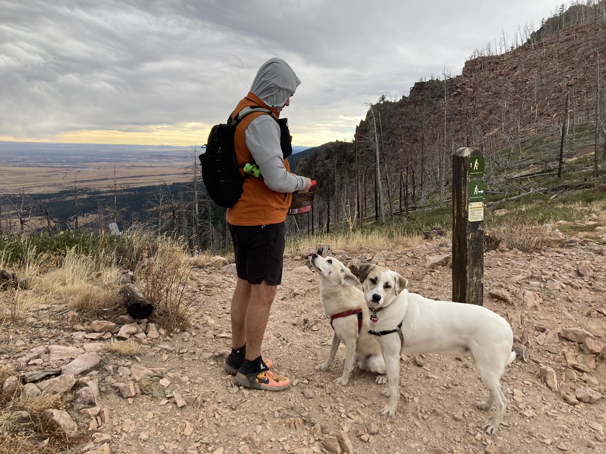 BrodyGraduate's tweet photo. Did my push-ups so I could bag some peaks and search for treats. ⛰🐶😋#southboulderpeak #dogworkout #trunktreats #workhardplayhard https://t.co/duV9Rrh7i7