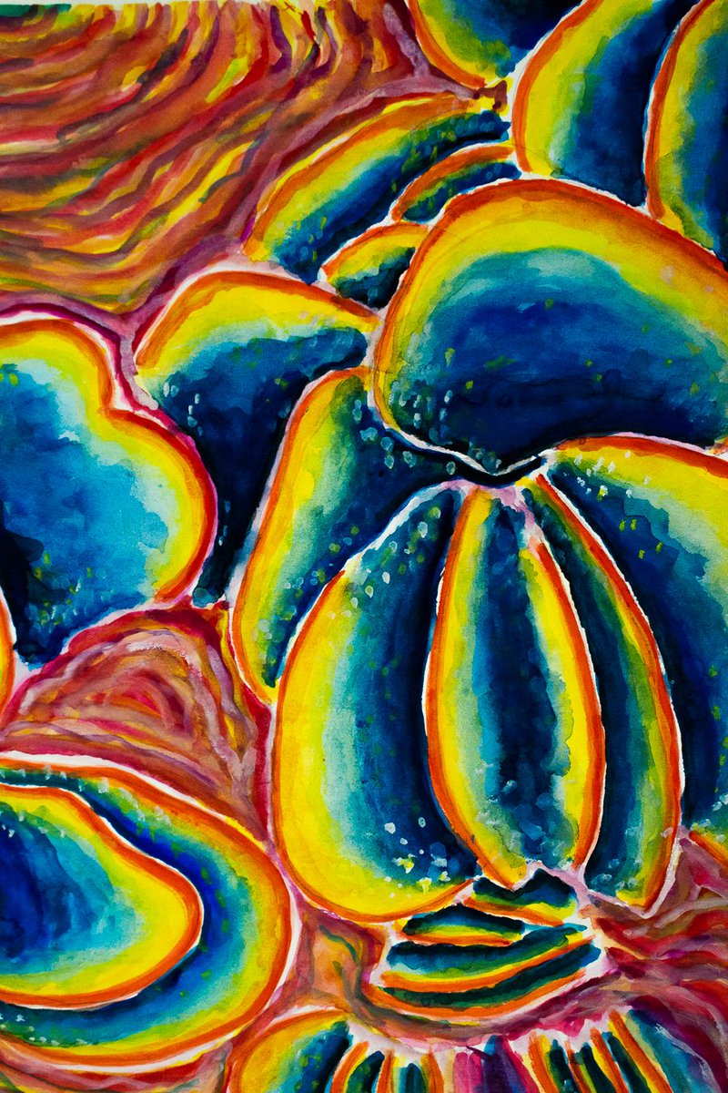 sofiarreiss's tweet photo. new drop! Kalanchoe II 🌿🤍 
This watercolor is a continuation of the last one I posted "painting inspired by the kalanchoe plant, through it I focused on interior to transmit all the energy of the nature"

1/1 for 10 tez! 

on https://t.co/GXjL7WOsWX 
https://t.co/7QvycirZd4 https://t.co/aY79XnvOkB