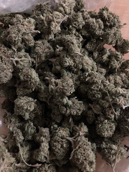 Got that good gas ⛽️⛽️⛽️🌳🌳🌳 &amp; Ice Tea Aka Ms.Tina🍦🍦&nbsp;&nbsp;for sale&nbsp;&nbsp;HMU HOOD UBER‼️🚕🚕🚕 anywhere you want to<a href="/tag/edibles"class="tags"><span>#edibles</span></a><a href="/tag/fritos"class="tags"><span>#fritos</span></a><a href="/tag/cheetos"class="tags"><span>#cheetos</span></a><a href="/tag/bud"class="tags"><span>#bud</span></a><a href="/tag/nutterbutter%20"class="tags"><span>#nutterbutter </span></a>