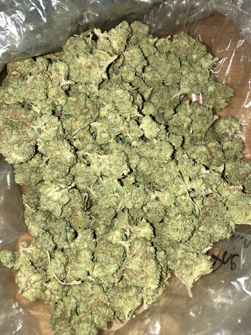 Got that good gas ⛽️⛽️⛽️🌳🌳🌳 &amp; Ice Tea Aka Ms.Tina🍦🍦&nbsp;&nbsp;for sale&nbsp;&nbsp;HMU HOOD UBER‼️🚕🚕🚕 anywhere you want to