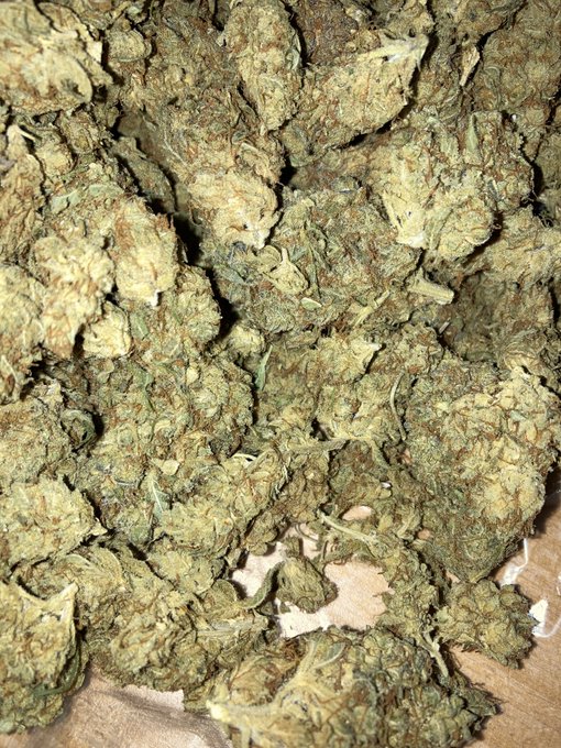 Got that good gas ⛽️⛽️⛽️🌳🌳🌳 &amp; Ice Tea Aka Ms.Tina🍦🍦&nbsp;&nbsp;for sale&nbsp;&nbsp;HMU HOOD UBER‼️🚕🚕🚕 anywhere you want to