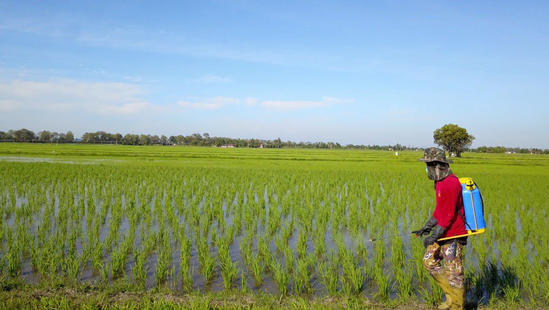 Tweets with replies by MADA Jelapang Padi (@mada_malaysia) / Twitter