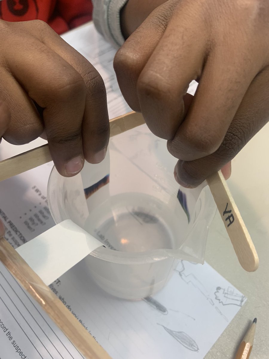 srahchacha's tweet photo. @BalwinSchool  Grade 5 and 6 had a great day at the @TWoSEdm solving mysteries, exploring space, and being chemists! Feels good to be out again, experiencing learning in an authentic, real-world way! #balwinfamily https://t.co/3gJz91hDzt