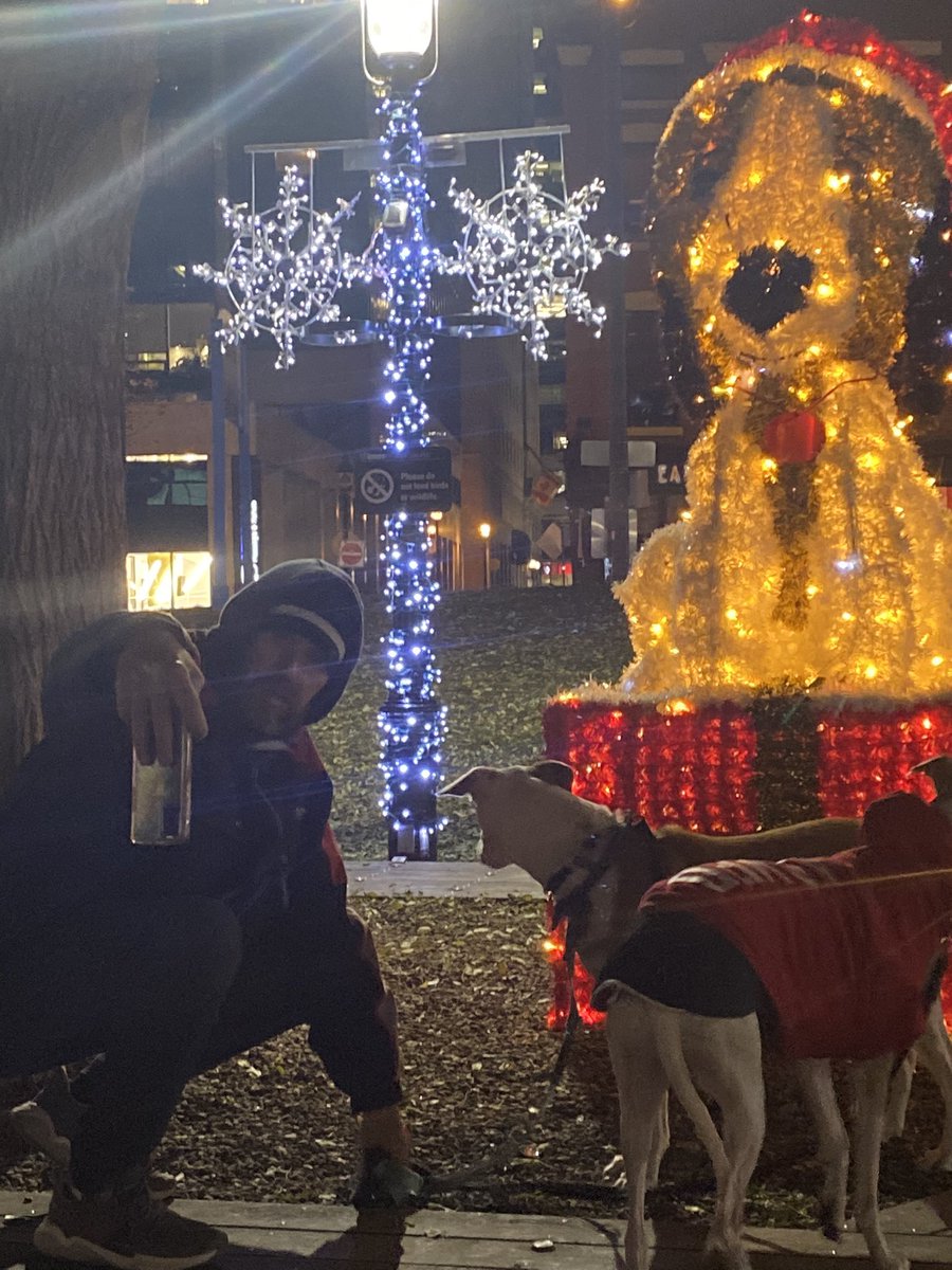 OldTownToronto's tweet photo. Donโt miss your chance to take a snap with #Barksy in @BerczyPark for your chance to win a $100 GC! Tag + mention #oldtowntoronto on insta โจโค๏ธ https://t.co/ylcIN29tNT