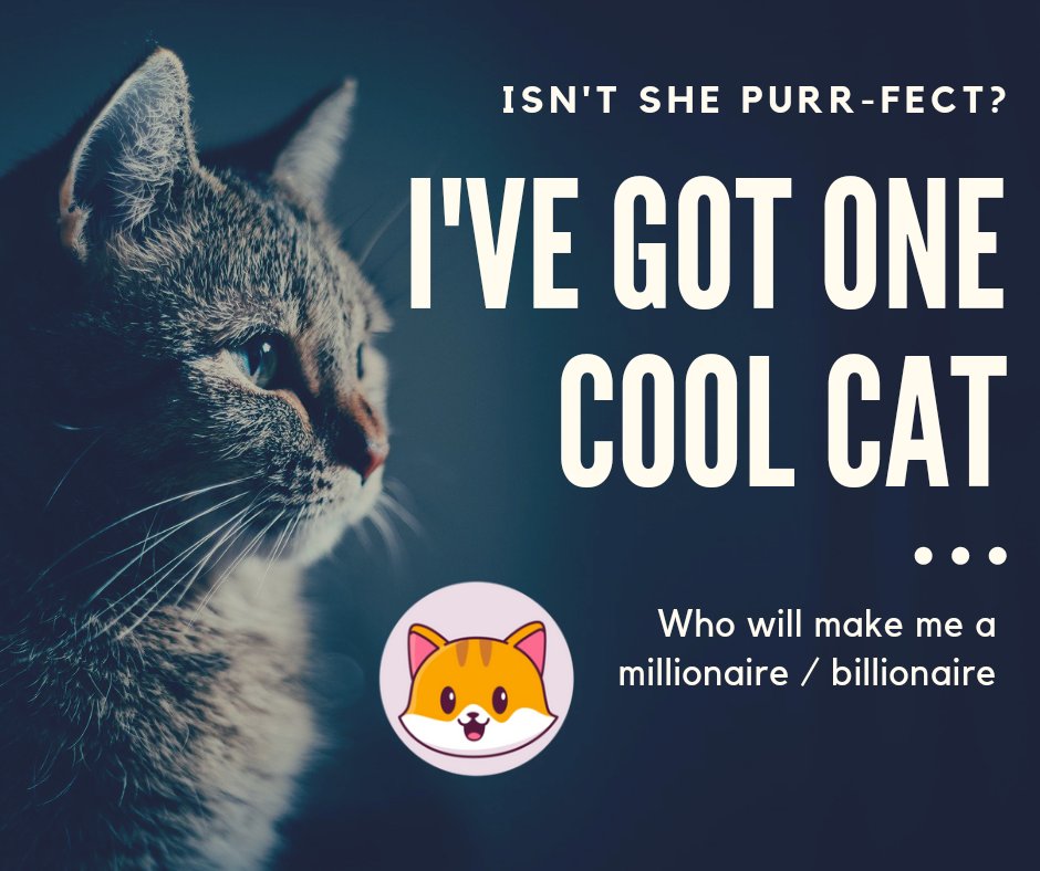 catiecoin's tweet photo. Cats give us the PURRfect memes. ❤️❤️❤️

#RiseofCats #PlayToEarn #PLAYTOEARNGAMES #NFTGame #NFTs #NFTCommunity #NFTGaming #catecoin #catearmy https://t.co/4SVp4OFs3I