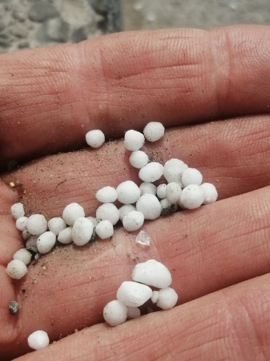 Three Boys in Avoca tweet media