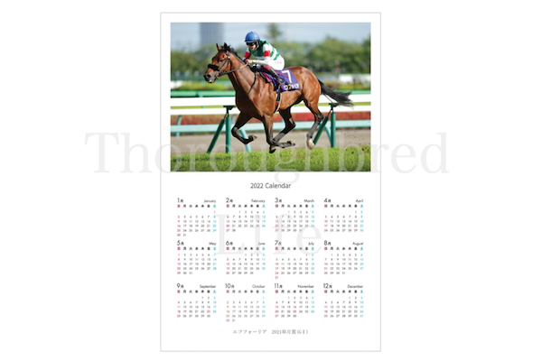 sala__life's tweet photo. G1優勝記念品●2022年度ポスターカレンダー予約開始●年内発送20日(月)。予約締切は30日迄
お申し込みは優勝記念品サイト「サラブレッドライフ」より
https://t.co/Q5krHDQR3S

#クロノジェネシス 
#エフフォーリア 
#ゴールドシップ 
#グランアレグリア https://t.co/cDHPY6ESFM