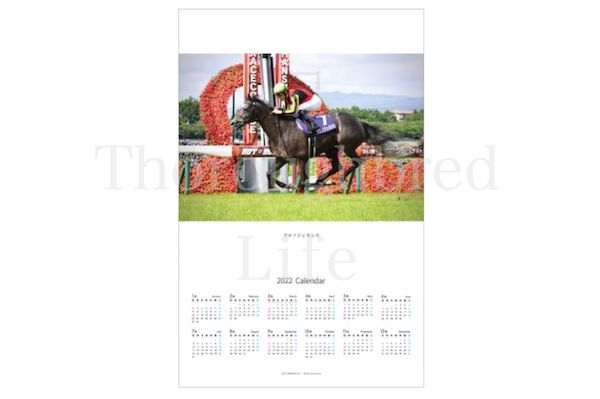 sala__life's tweet photo. G1優勝記念品●2022年度ポスターカレンダー予約開始●年内発送20日(月)。予約締切は30日迄
お申し込みは優勝記念品サイト「サラブレッドライフ」より
https://t.co/Q5krHDQR3S

#クロノジェネシス 
#エフフォーリア 
#ゴールドシップ 
#グランアレグリア https://t.co/cDHPY6ESFM