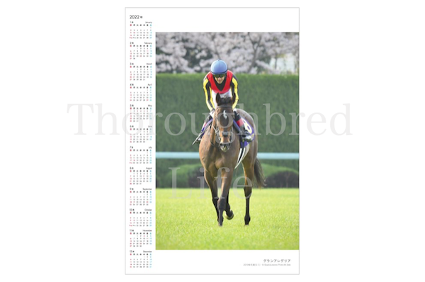 sala__life's tweet photo. G1優勝記念品●2022年度ポスターカレンダー予約開始●年内発送20日(月)。予約締切は30日迄
お申し込みは優勝記念品サイト「サラブレッドライフ」より
https://t.co/Q5krHDQR3S

#クロノジェネシス 
#エフフォーリア 
#ゴールドシップ 
#グランアレグリア https://t.co/cDHPY6ESFM