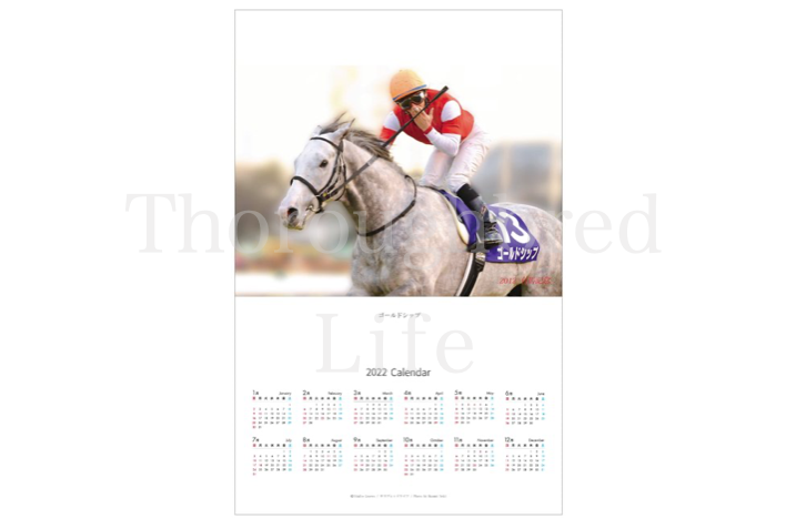 sala__life's tweet photo. G1優勝記念品●2022年度ポスターカレンダー予約開始●年内発送20日(月)。予約締切は30日迄
お申し込みは優勝記念品サイト「サラブレッドライフ」より
https://t.co/Q5krHDQR3S

#クロノジェネシス 
#エフフォーリア 
#ゴールドシップ 
#グランアレグリア https://t.co/cDHPY6ESFM