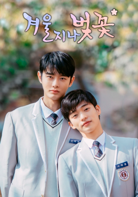 🚨 CONFIRA AO POSTER OFICIAL DE #CHERRYBLOSSOMSAFTERWINTER! O