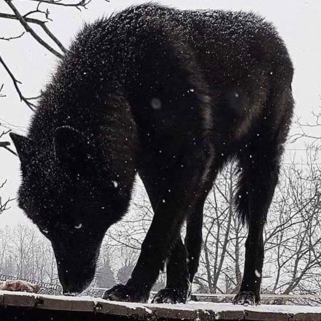 Dale play al link de you tube (Bajen) Comparte suscribete Deja y tu like que proto salgo con Toa la música que tengo en la computadora
youtu.be/qmV7hoRR2Gc

<a href="/Mayakenpr/">{Neil anami} ( Pentagonopr )</a> - 🐺👽

Indika <a href="/Estrenosurbano1/">(Pagina Official)</a> <a href="/LatinMusicpr/">Latin Music P.R.</a>  dime <a href="/Anuel_2bleA/">Anuel_A▲</a> <a href="/ArcangelPrrra/">AUSTIN A. SANTOS</a> <a href="/Darell_RG4L/">Darell</a>