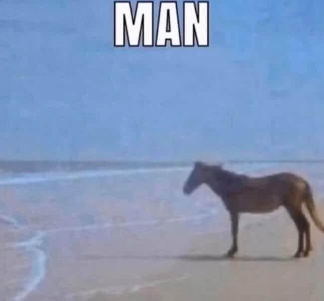 MorMangoYT's tweet photo. Yesterday Canvas wasn’t working and tonight Chegg isn’t working. I’m just tryna pass these classes man. https://t.co/9zvUfyrZRc
