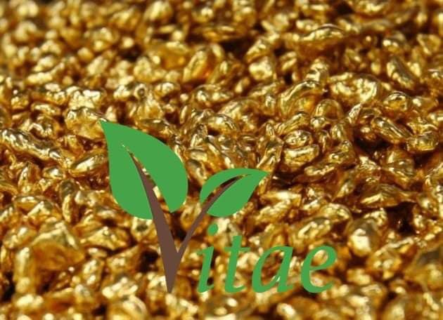 Lannguyenvitae's tweet photo. Tôi tự hào là người tham gia phát triển #vitae BIẾT ƠN @MENDY 
VITAE LÀ SỰ SỐNG CỦA THẾ GIỚI LOÀI NGƯỜI 🌎❤❤❤❤❤ https://t.co/b0xOGsejCG