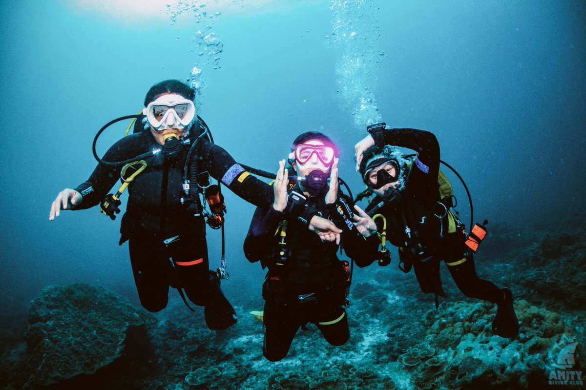 assoonasisaw's tweet photo. 🤿 Scuba Diving : จากใจคนกลัวทะเล+น้ำลึก เพิ่งเรียนจบคอร์ส Open Water มาหมาดๆ สนุกมากกกแนะนำเลย 🏝 Amity Diving Club ภูเก็ต ครูเฟรนลี่ สอนสนุก โครตชิล ถ่ายรูปสวยๆให้ด้วย อุปกรณ์ที่ให้ใช้คือพรีเมียมอย่างดี ลงน้ำครั้งแรกละมันอุ่นใจ แนะนำมากๆ อาหารบนเรือก็เลิศ! 💙 #ReviewThailand https://t.co/Wh0gpfbO08