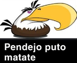 _Alan_soto's tweet photo. @Papichulo7774 https://t.co/GMvyer4krr