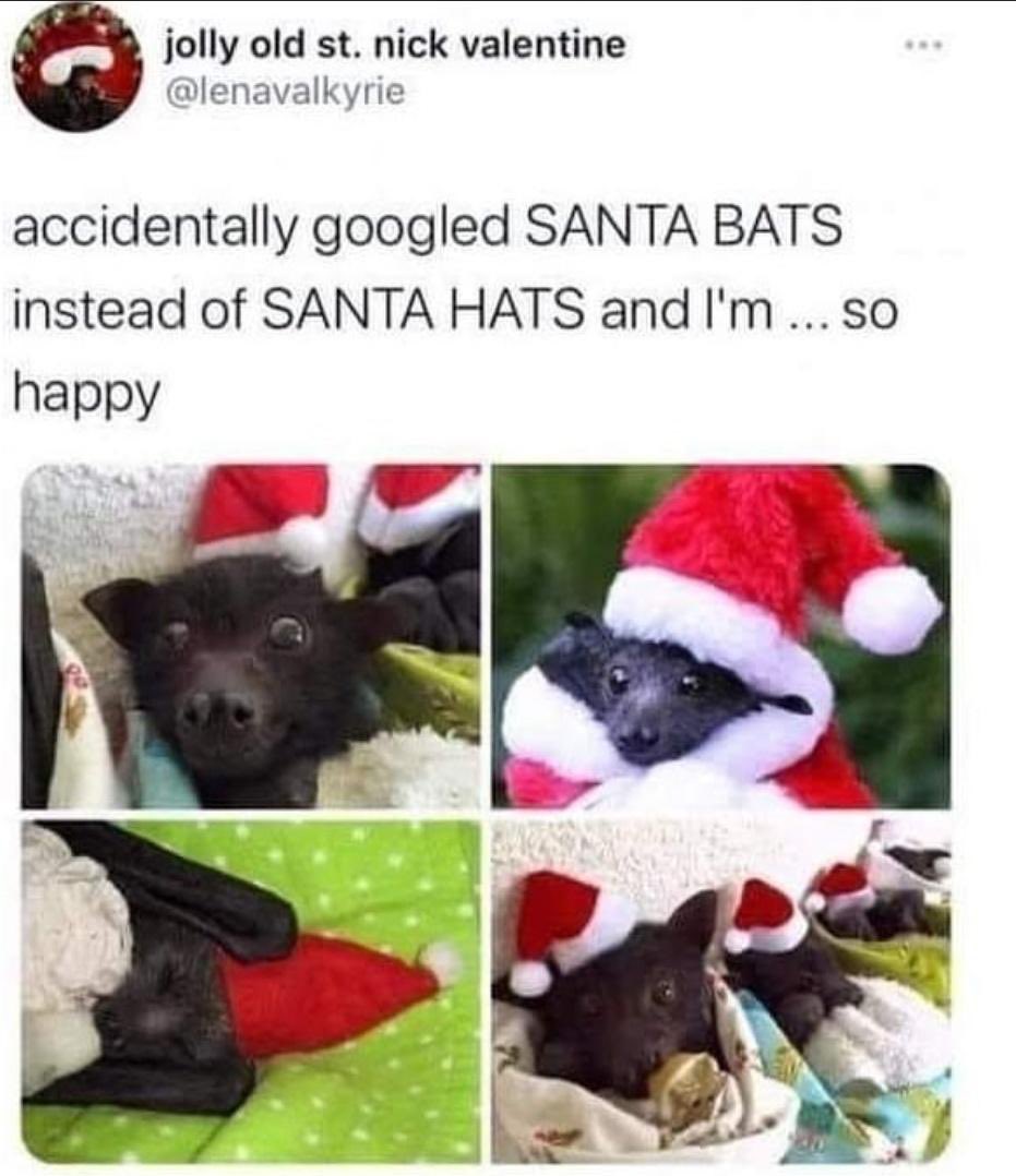 CoffeeTyrial's tweet photo. Considering the holidays happening, both of the festive real mortal variety, and the very enjoyable #VenthyrWeek I present Santa bats. https://t.co/iY3xECxlRc