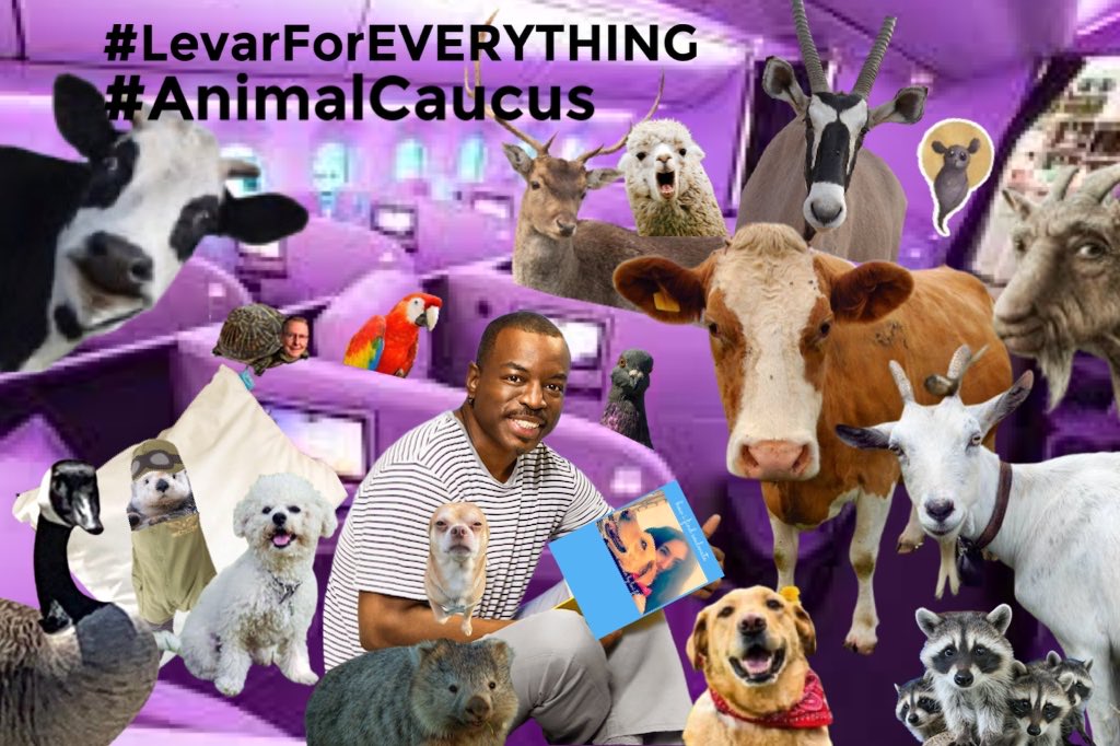 TedCruzPoodle's tweet photo. #AnimalCaucus
#LeVarForEVERYTHING
โฆ@levarburtonโฉ https://t.co/ZmtkULyuw2