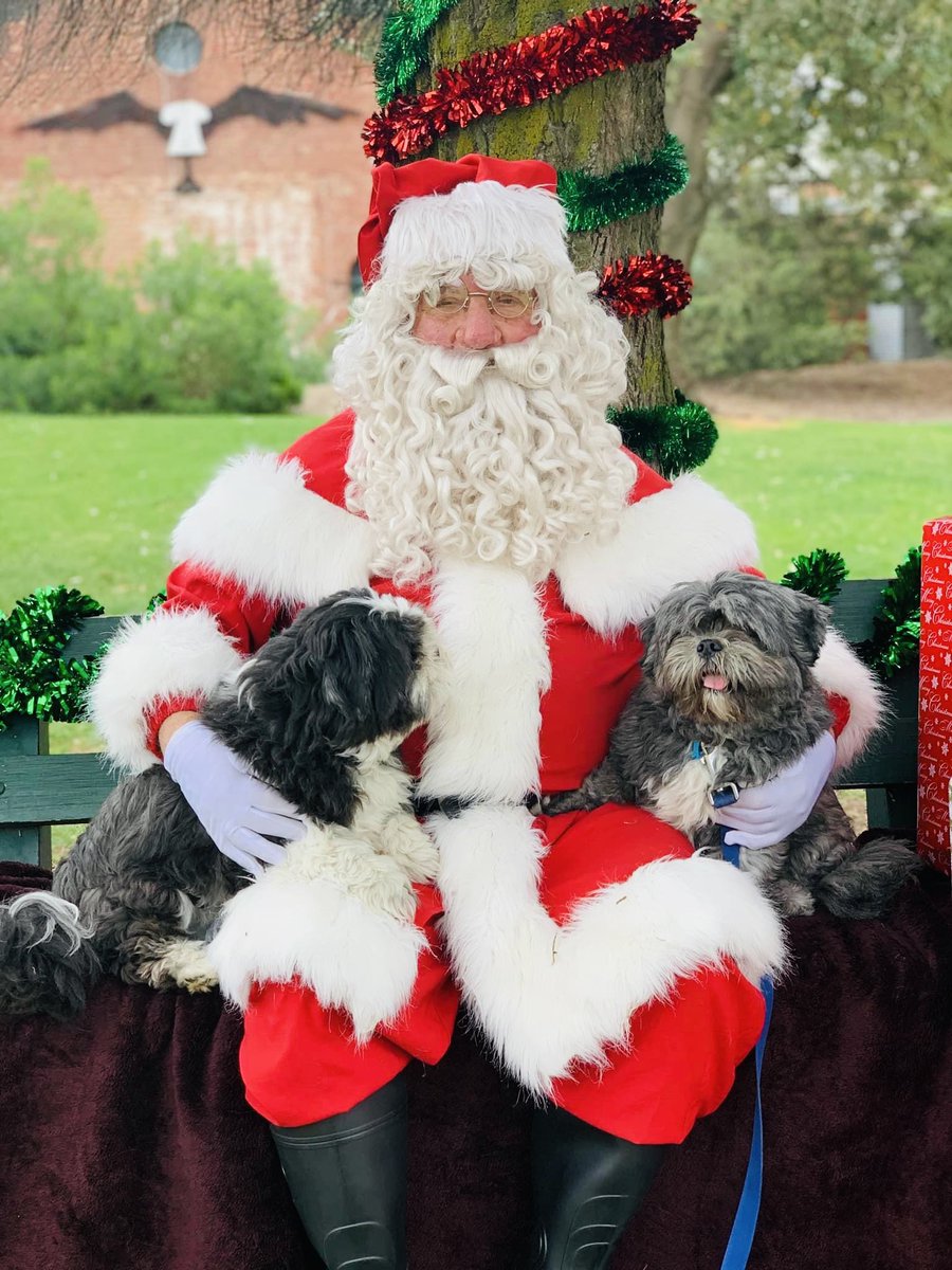 Nishaobgyn's tweet photo. When you graduate from obligatory human-kids-Santa-photos to obligatory canine-kids-Santa-photos with equal lack of success at getting either human or canine kids to look at the camera at the same time! #DogTwitter #SantaPhoto https://t.co/zbaAE65lcb