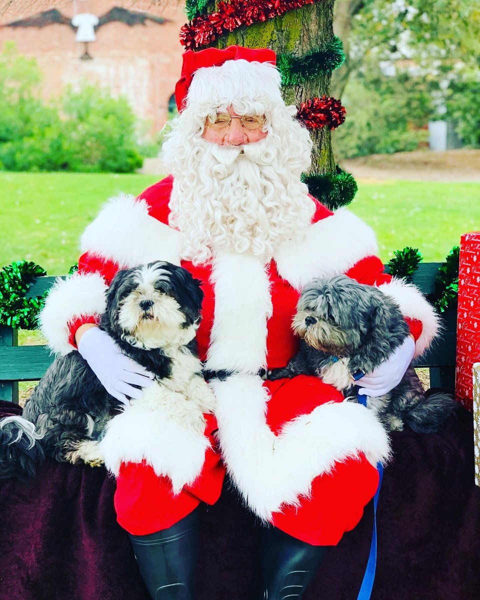 Nishaobgyn's tweet photo. When you graduate from obligatory human-kids-Santa-photos to obligatory canine-kids-Santa-photos with equal lack of success at getting either human or canine kids to look at the camera at the same time! #DogTwitter #SantaPhoto https://t.co/zbaAE65lcb
