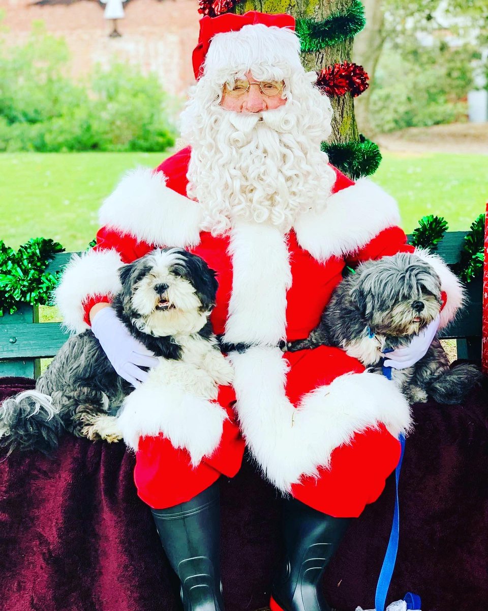 Nishaobgyn's tweet photo. When you graduate from obligatory human-kids-Santa-photos to obligatory canine-kids-Santa-photos with equal lack of success at getting either human or canine kids to look at the camera at the same time! #DogTwitter #SantaPhoto https://t.co/zbaAE65lcb