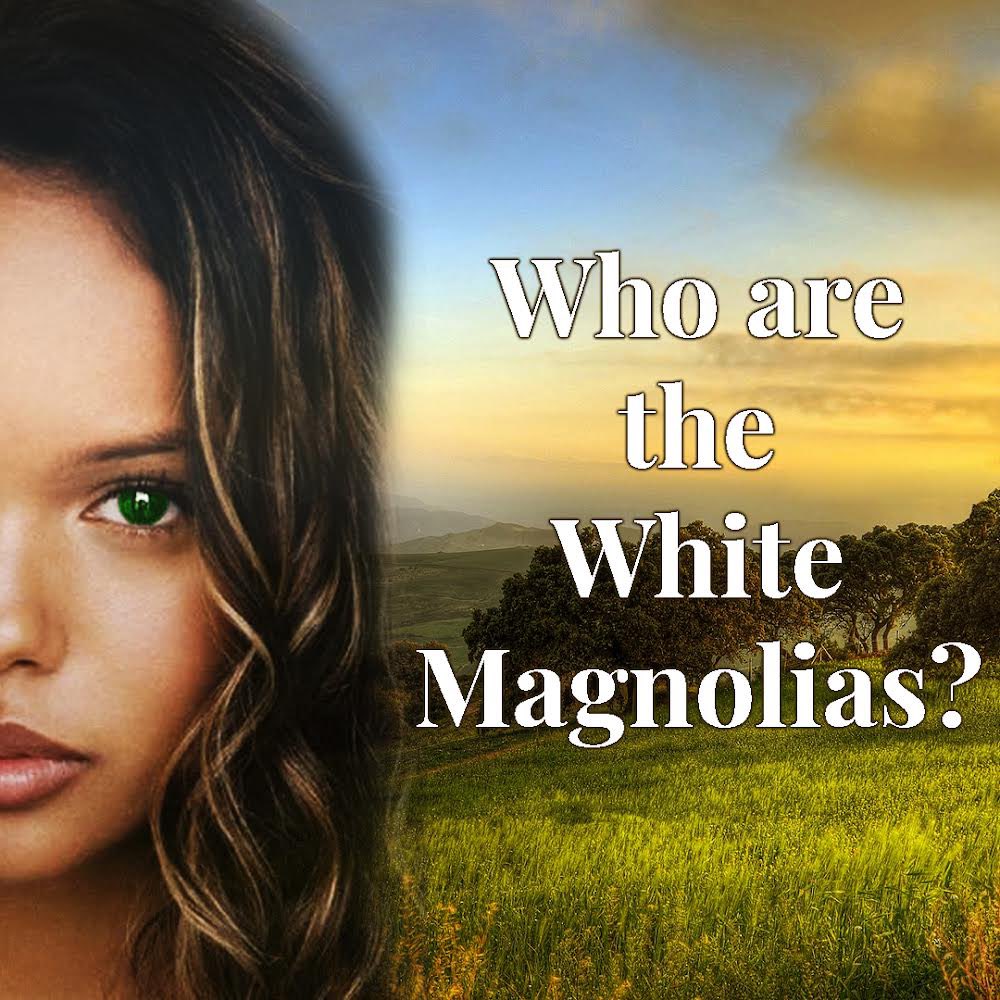 crysta_mchenry's tweet photo. I have a new-ish WIP! An adult action-adventure historical fiction, based in 1872 Texas! Who are the White Magnolias, and what do they want with Sophia? 

#author #whitemagnolia #wip #actionadventure #adultfiction #historical #historicalfiction #ShamelessSelfpromoWednesday https://t.co/8U5QmXTsa5