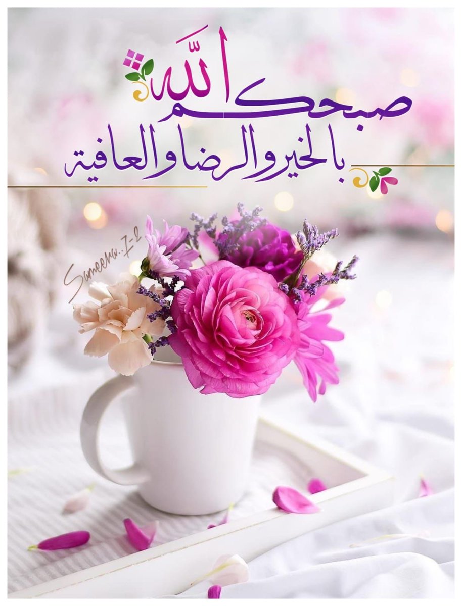 *آسّعَد آللہّ  صبــــــــــــاح  ، منْ*، ، 
    حّمِد ربہّ علىَ "آلعفوُ وْ آلعَآفيہ 

  اللهم أكرمنا بصباح 
تصفو به النفوس وتطمئن به القلوب 
    *صبــــــــــــاح  الخيَِڕ*🍂