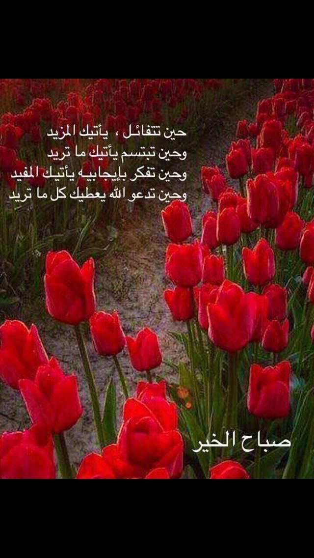 Aqeel Abdulqader tweet media
