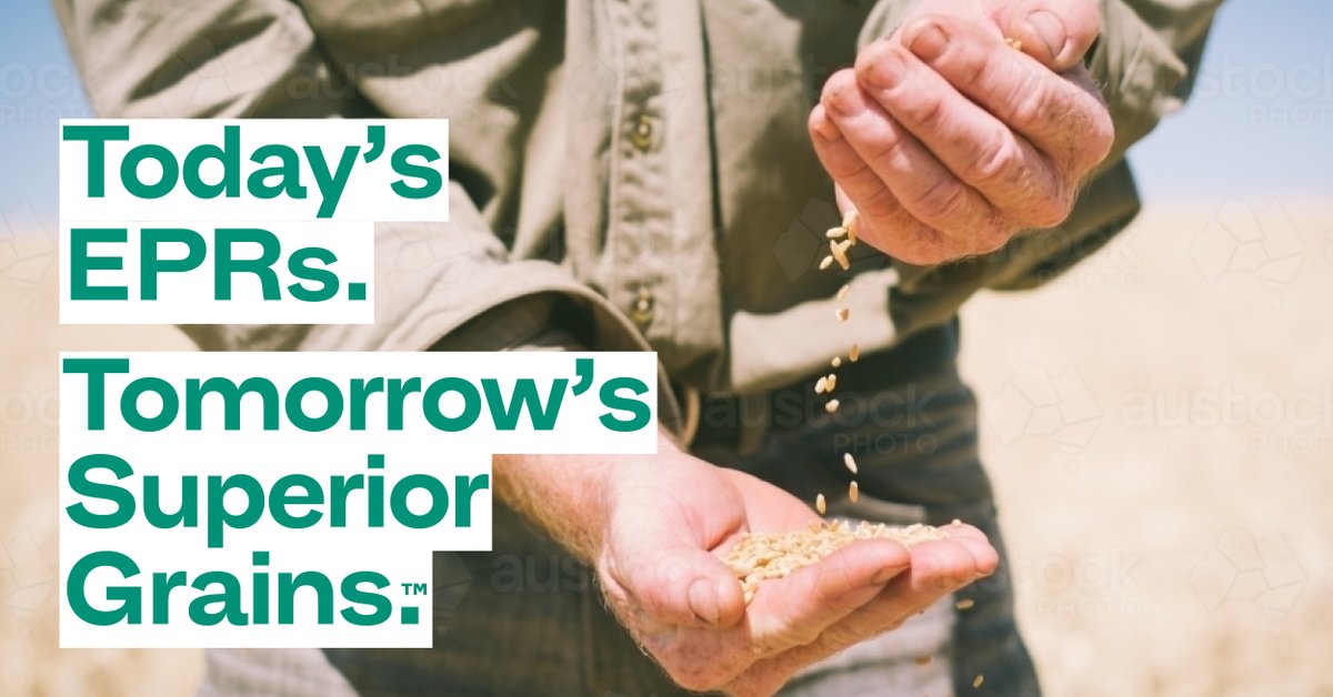 Breeder End Point Royalties (#EPRs ) fund research higher yields crop varieties and superior quality for #AusGrainGrowers . Today’s EPRseeds = tomorrow’s #superiorgrains . Find out more 
bit.ly/EPRVarieties

#AusAg #AusWheat #AusBarley