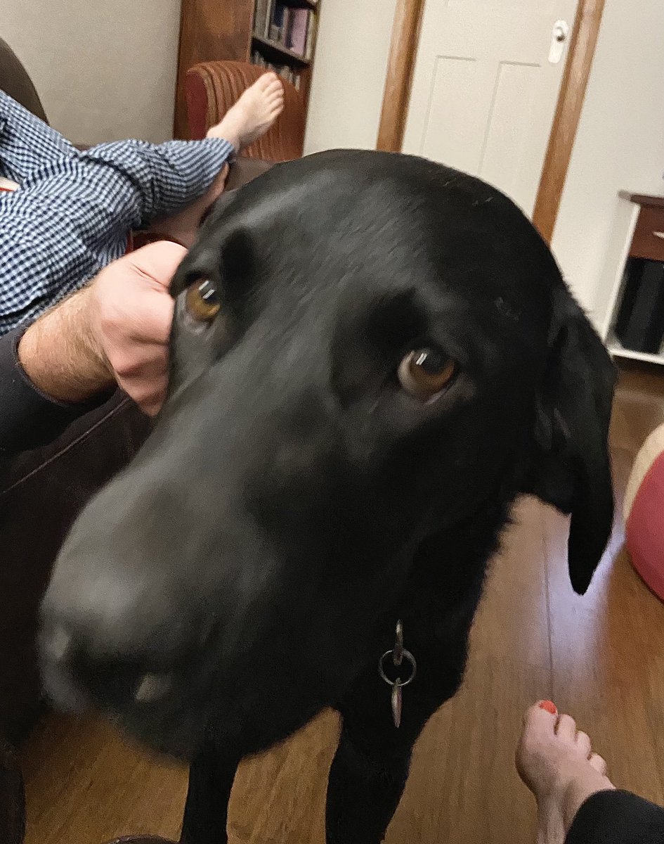 Be honest now, does my nose look big?