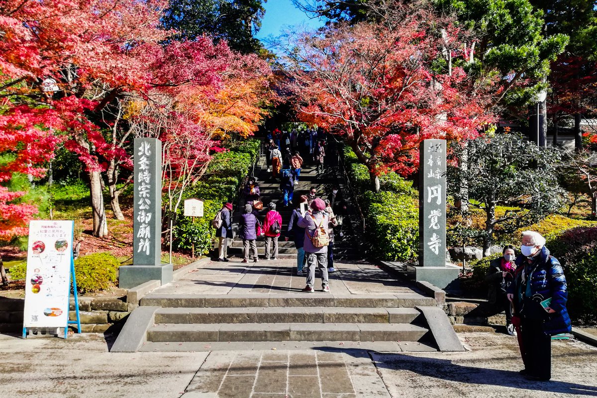 Dakiny's tweet photo. 北鎌倉 円覚寺なう‼️　
#Huawei #P20light 
#鎌倉市 #北鎌倉 #円覚寺 
#紅葉 #紅葉2021 #紅葉狩り
#散歩 #お写んぽ #ゆる写 https://t.co/DO3yGRmIHi