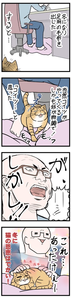 冬が来ると猫は貴重
 #ニャンコ #まんが #猫 #猫あるある #猫漫画 #ペット #飼い主 #エッセイ漫画 #キャット #ねこのいる生活 #4コマ 