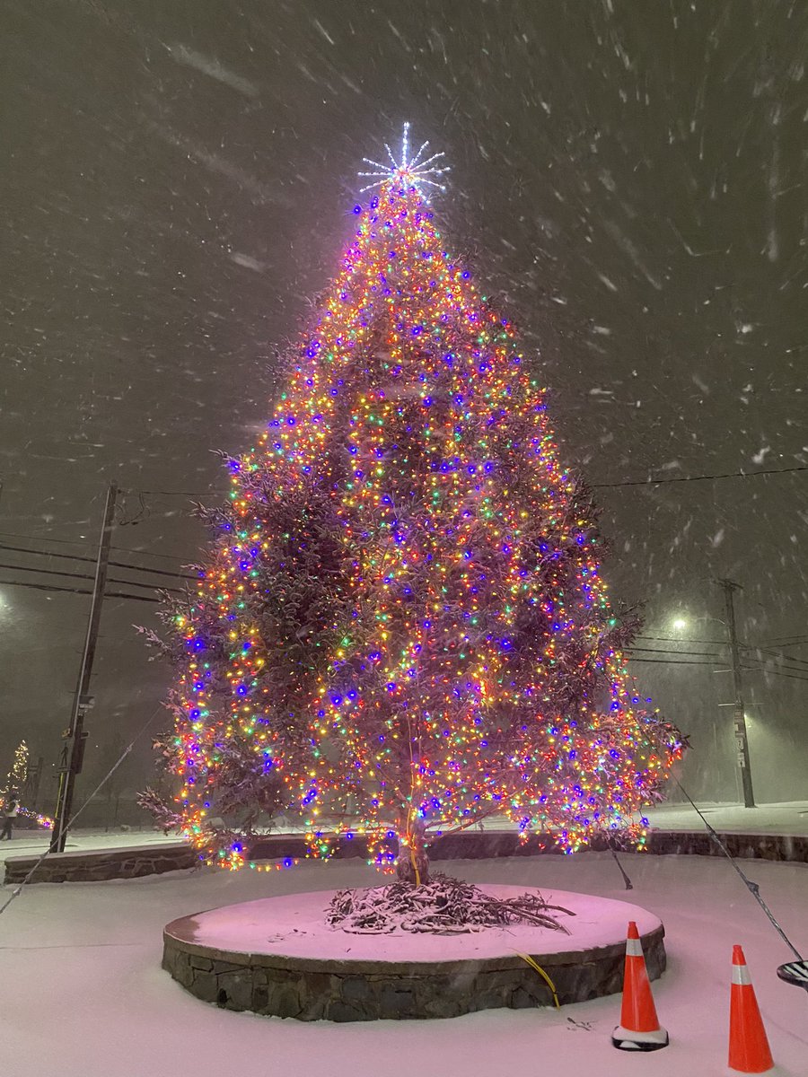 Stephanie Bizzeth tweet media