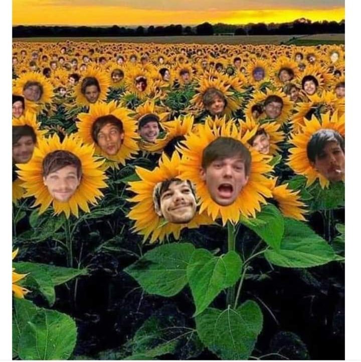 FernndezSammy1's tweet photo. Porque tus canciones le dan sentido un mejor sentido a mi vida #LouisTomlinson #Walls https://t.co/LuPkEcL8QO