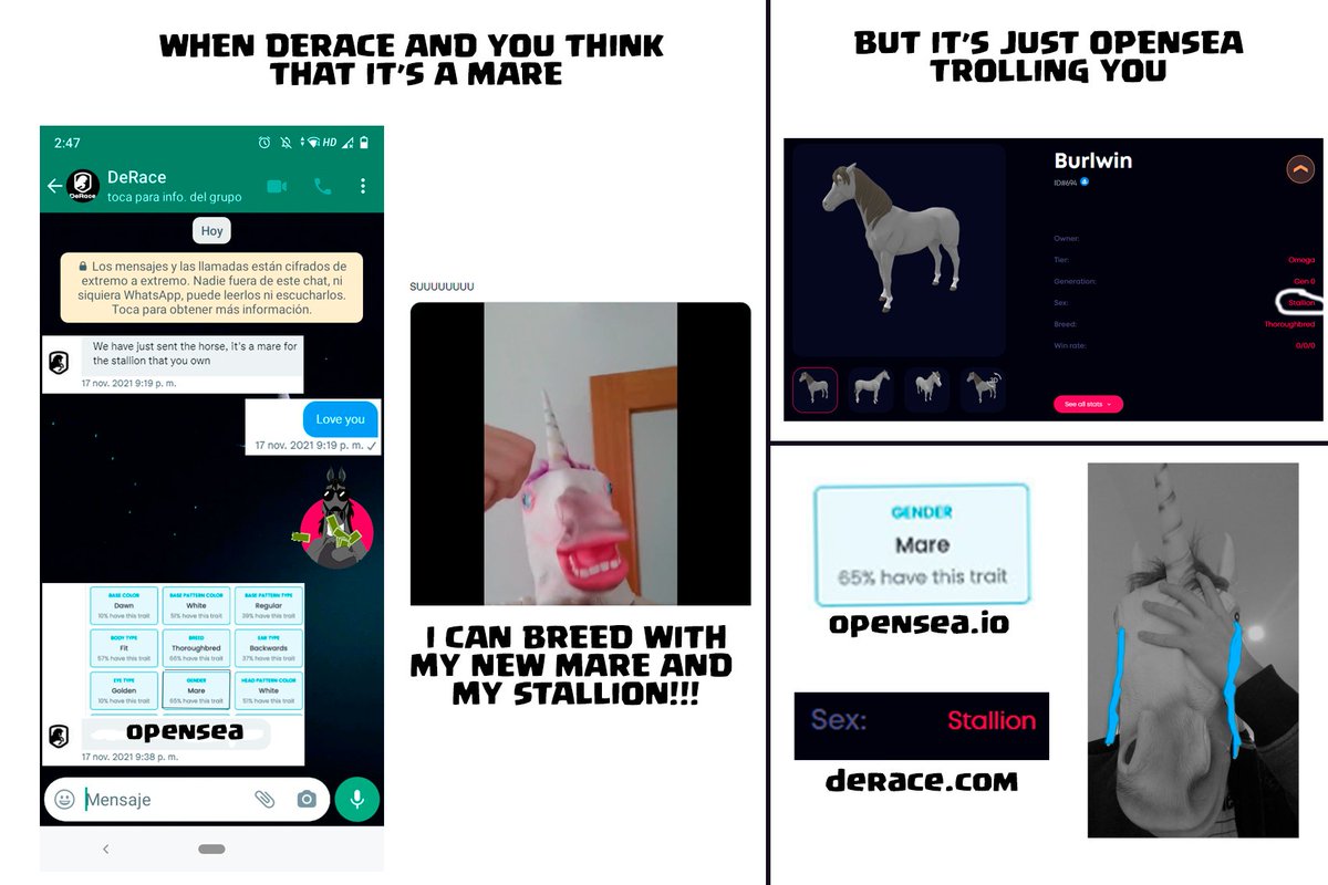 RCarras_Invictv's tweet photo. #DERCEMBER MEME CONTEST
Tittle: When @opensea troll @DeRaceNFT and you.

PS: Anyway I love my 2 stallions hahaha ❤️🐴❤️.
#DERCArmy #RealMeme https://t.co/KGsphWHMxz