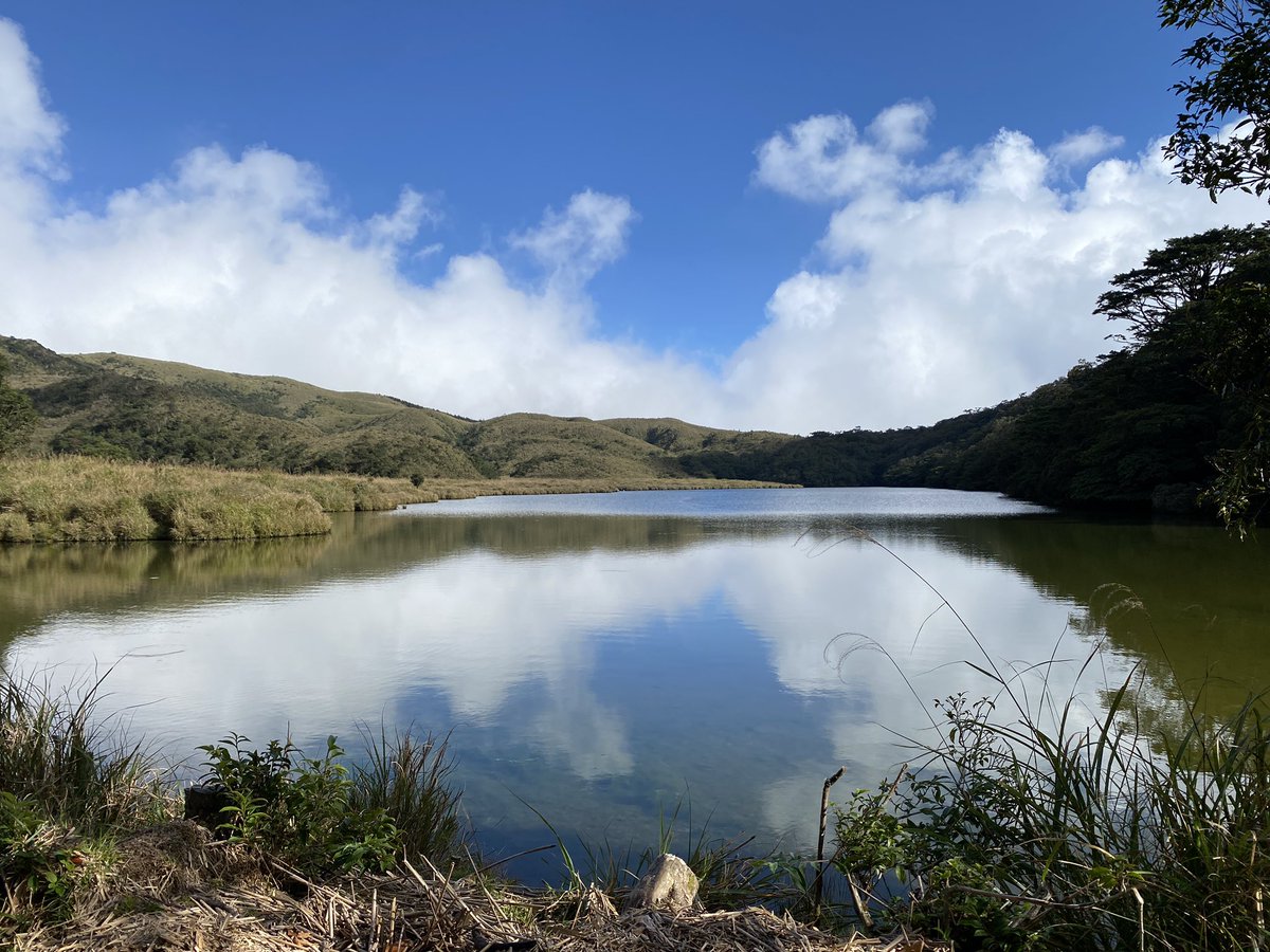 龍王號 tweet media