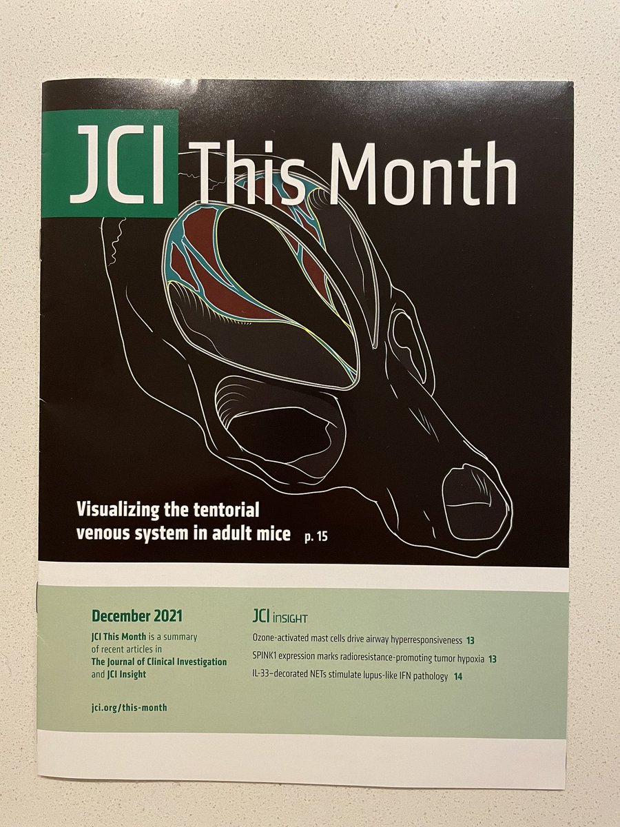JaredRosenblum's tweet photo. So excited that this just arrived in the mail! Honored to be on the cover @JCI_insight for our #visualization of tentorial #veins in #mice and #humans Great work @VikramC123 @VibhuChandrash1 @JeanPaulBryant @NIHBrainTumor @NCIResearchCtr #biology #science #anatomy #ScienceTwitter https://t.co/8oNO8E6nZ0