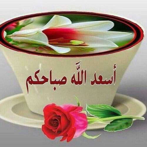 7_k98's tweet photo. @morningyouth https://t.co/cczFSZv4JU