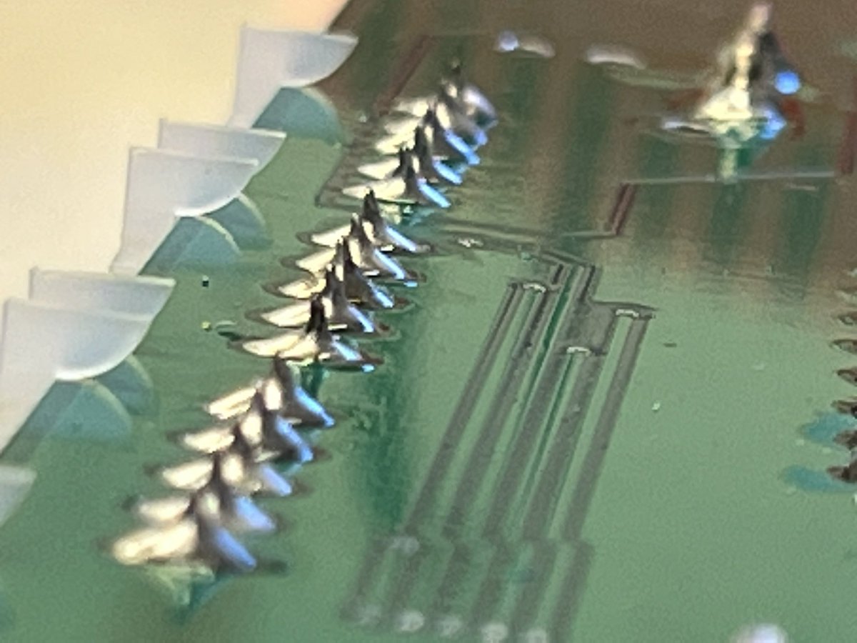 Bella Cielo tweet media