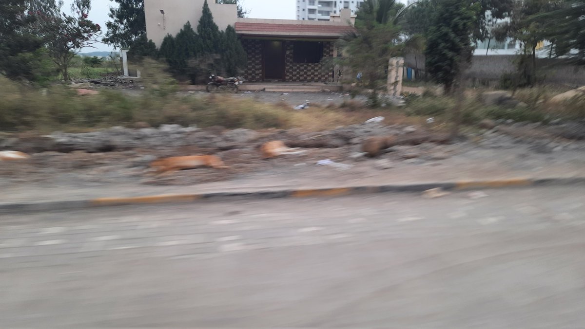 sperdha's tweet photo. @PMCPune @suniltingre 
Still lots of garbage dumping going on in open areas in Kharadi. 
One of the examples is open field next to Marvel Zephyr, Kharadi.

Please get some permanent solution as this is really very unhygienic environment for everyone. Thx https://t.co/FaPb9ki7rM