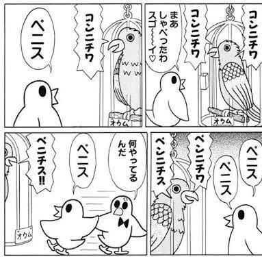 我が家では頭にウンチをつけていることが多いのでウンチを覚えさせようとしています 