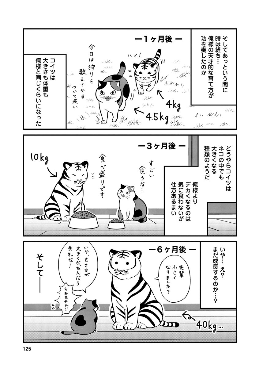 ネコに育てられたために大きくなっても自分のことをネコだと思い込んでいるトラ(2/2) 