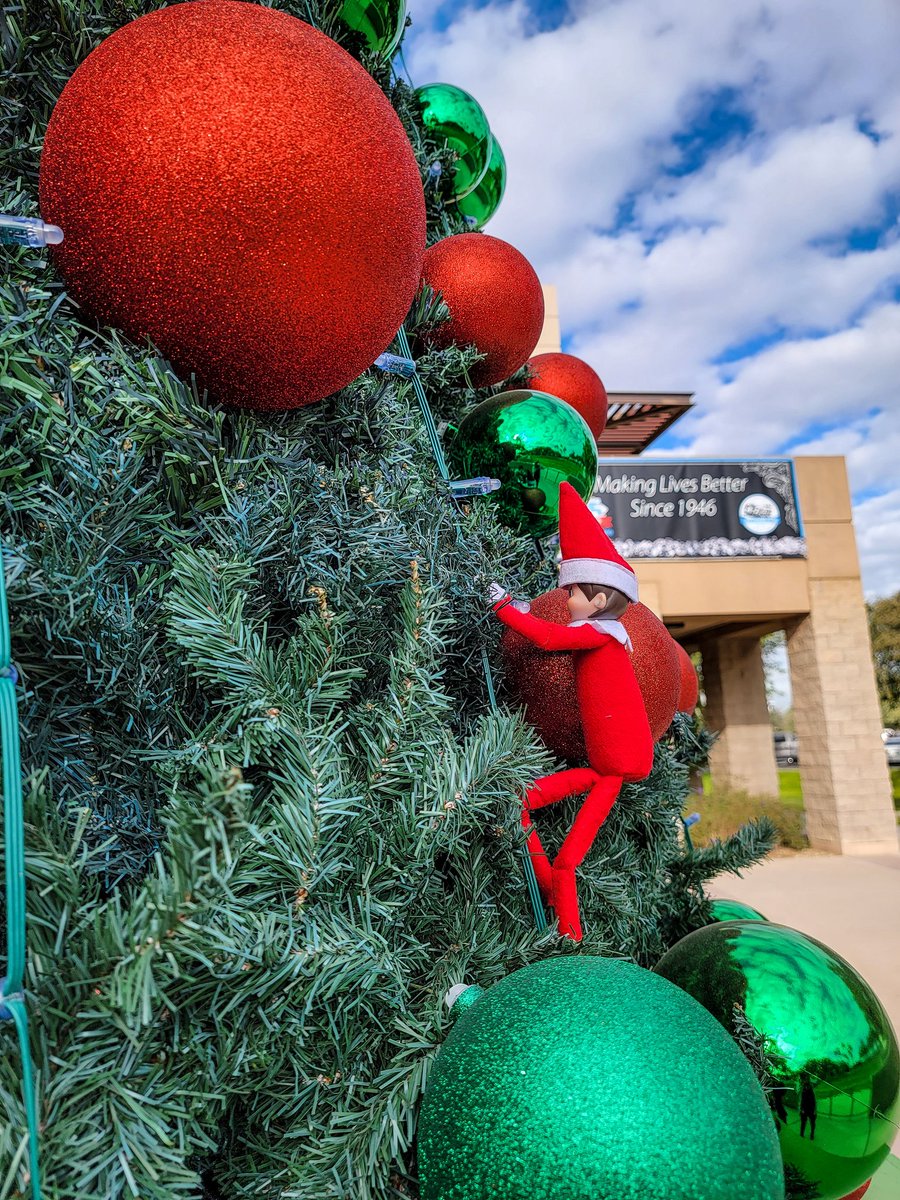 AZAvondale's tweet photo. Look who we caught climbing the Christmas tree outside City Hall today! #elfontheshelf #discoveravondale #AviAz https://t.co/C2SYKvCS3q